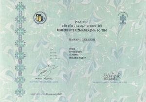 Специализация на Культурно-Исторических Экскурсиях Стамбула